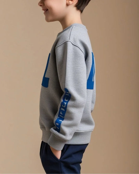Sudadera (Copia)